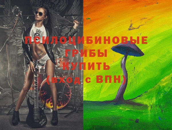 тгк Аркадак