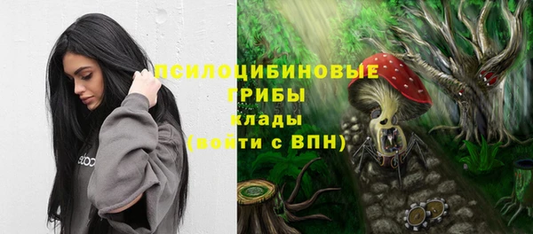 a pvp Арсеньев