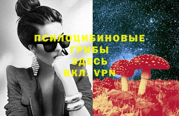 тгк Аркадак